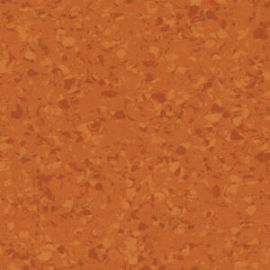 orange-sunlight-4455