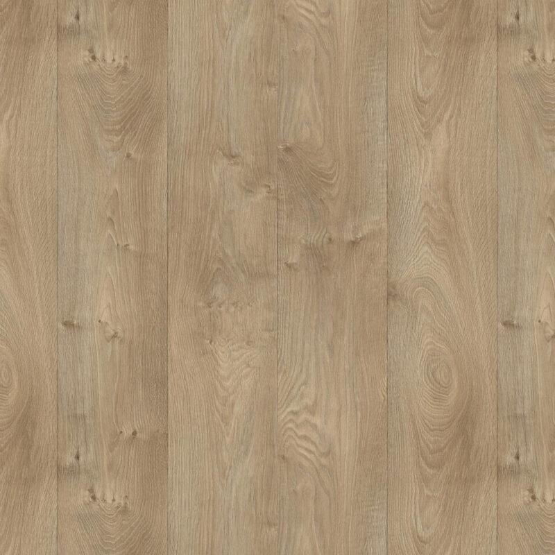 PVC-Boden Iconik 260 Tarkett Infinity Oak Natural