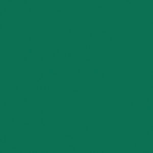 Indoor Sportböden Tarkett Omnisport Active+ Uni Tonic Green