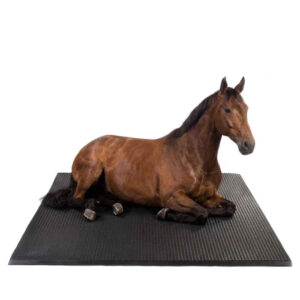 Stallmatte-Pferdebox-Puzzle-110x160cm-Gummimatte-für-Pferdestall