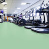 Gerflor-Taraflex-Evolution-PVC-Sportboden-7,5-mm-0654-Sage