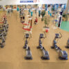 Gerflor-Taraflex-Evolution-PVC-Sportboden-7,5-mm-5763-Maple-Sun