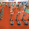Gerflor-Taraflex-Evolution-PVC-Sportboden-7,5-mm-6038-Terracotta
