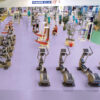 Gerflor-Taraflex-Evolution-PVC-Sportboden-7,5-mm-69246-Mallow