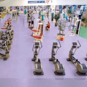 Gerflor-Taraflex-Evolution-PVC-Sportboden-7,5-mm-69246-Mallow