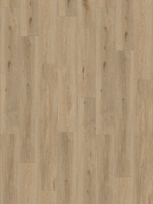 Gerflor Creation 55 – Designboden zum Kleben – 1707 Aquinoah Nature