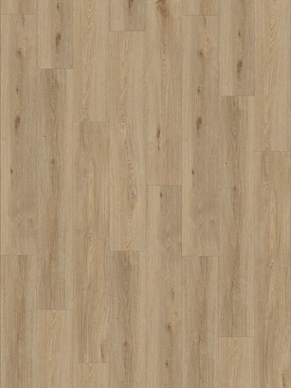 Gerflor Creation 55 – Designboden zum Kleben – 1707 Aquinoah Nature